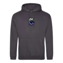 Hoodie BaB Openair
